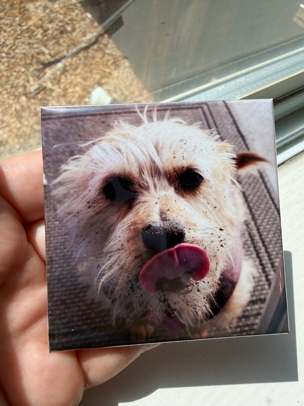 Custom Photo Magnet: 2.5" x 2.5" Glossy