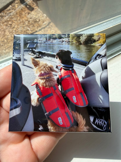 Custom Photo Magnet: 2.5" x 2.5" Glossy