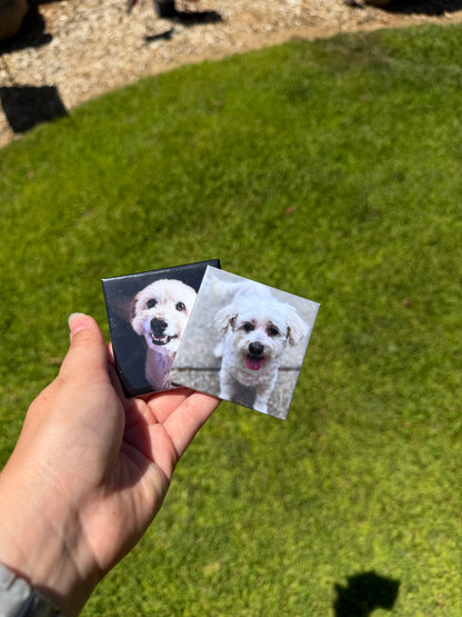 Custom Photo Magnet: 2.5" x 2.5" Glossy